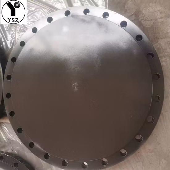 ASME B16.5 Class 150 304 316 A105 Blind Flange