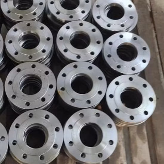 ANSI/GOST/Duplex/ Ss/CS /Weld Neck Slip on/Blind/Threaded/Socket Weld/Plate/Spectacle Blind/Lwn/Orifice/Anchor Flange