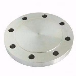 High Quality Flange Blind DN100 A105 Steel 4