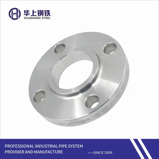 F304/304L/316/316L/321/Duplex Steel Flange